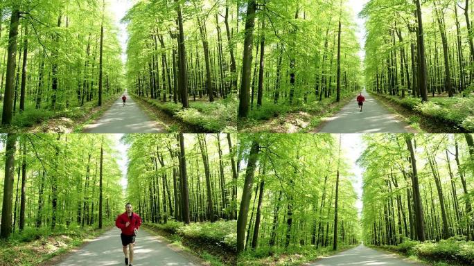 高清起重机: 在森林道路上慢跑