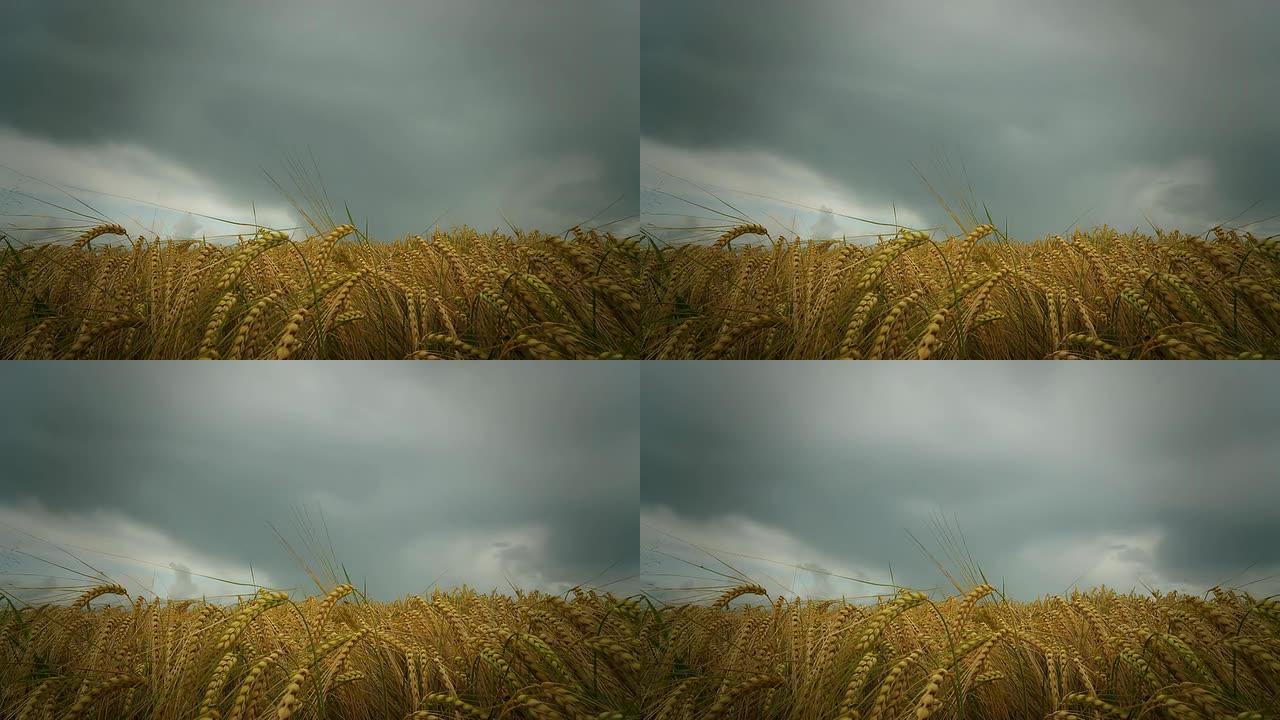 高清时间：大麦上空的风暴云