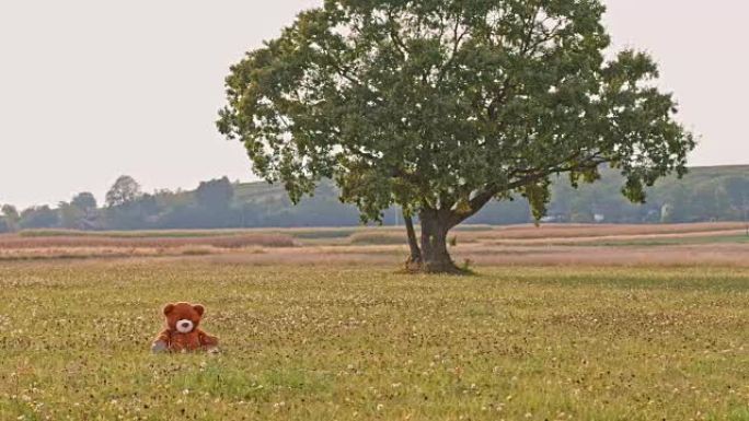 DS在草地上的泰迪熊