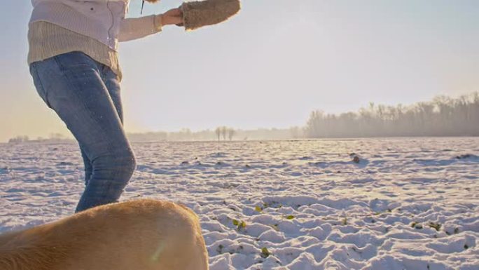 WS女子在雪地里与小狗玩耍