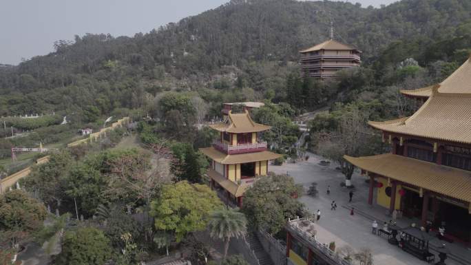 厦门 海沧 石室禅院 鸽子飞过 寺庙