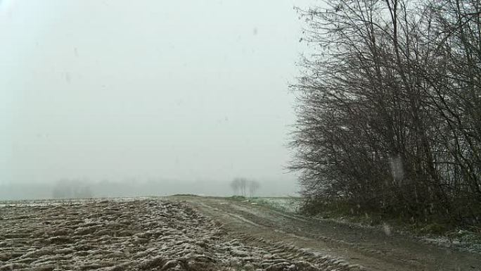 高清：冬季乡村雪林雪景冰天雪地