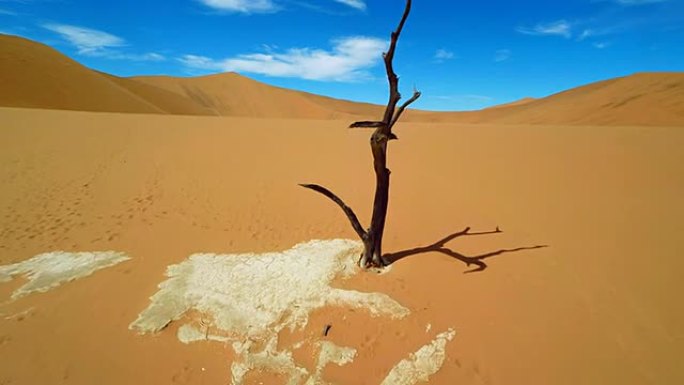 赫利死相思树在Deadvlei