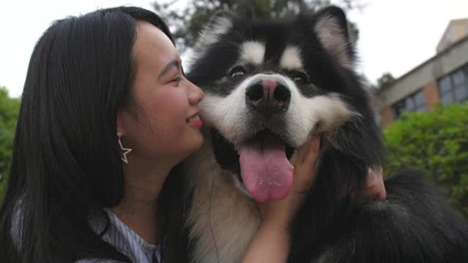 快乐的年轻亚洲女人抱着她的狗阿拉斯加雪橇犬，户外接吻，4k