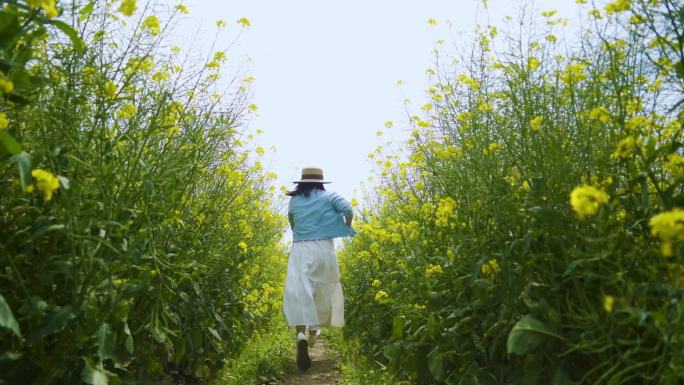 唯美清新女生油菜花地奔跑背影田间奔跑浪漫