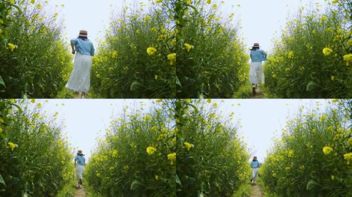 唯美清新女生油菜花地奔跑背影田间奔跑浪漫