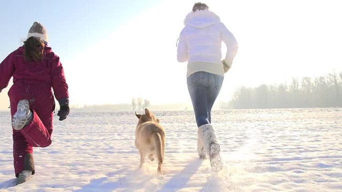 SLO MO与小狗在雪地里奔跑