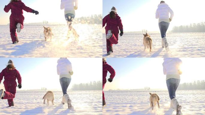 SLO MO与小狗在雪地里奔跑