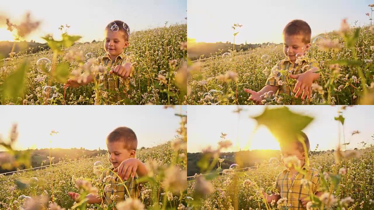 小男孩在荞麦地里抓泡泡