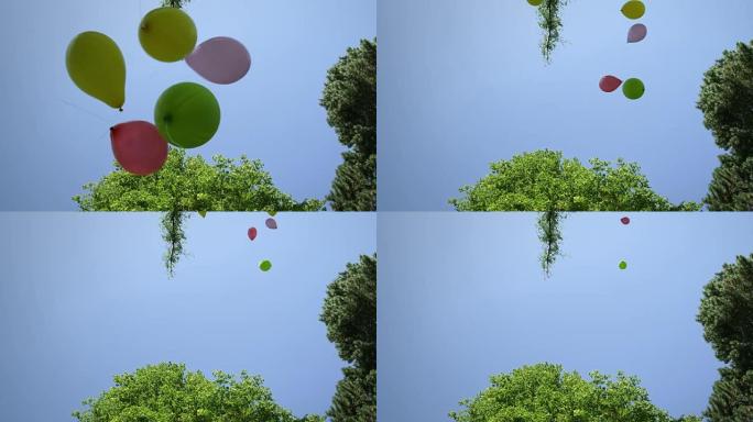 气球在公园里飞舞气球在公园里飞舞