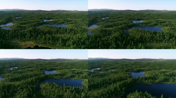 芬兰阳光明媚的夏日，蓝湖和绿色森林的鸟瞰图。