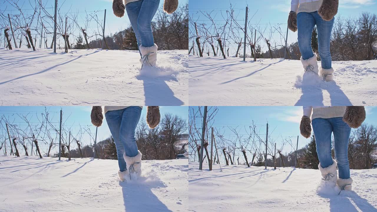 SLO MO漫步在白雪覆盖的葡萄园