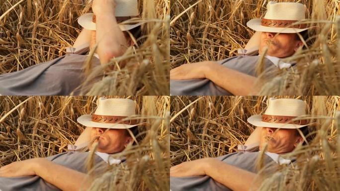 HD：年轻人躺在小麦里享受