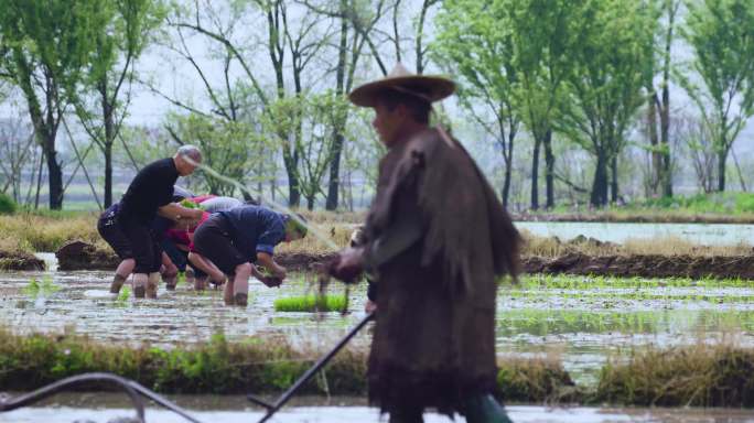 乡村生活 田园风光 传统美食