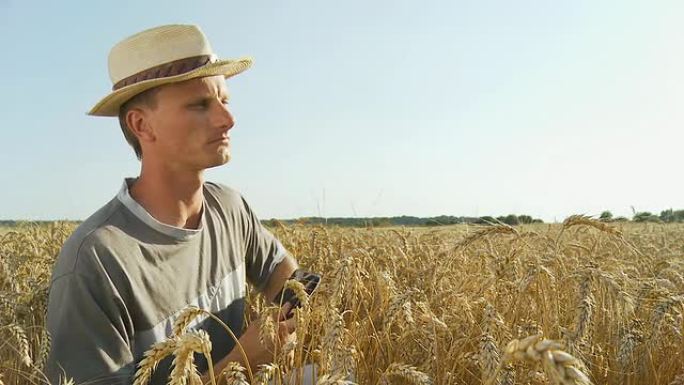 农民用数字平板检查小麦