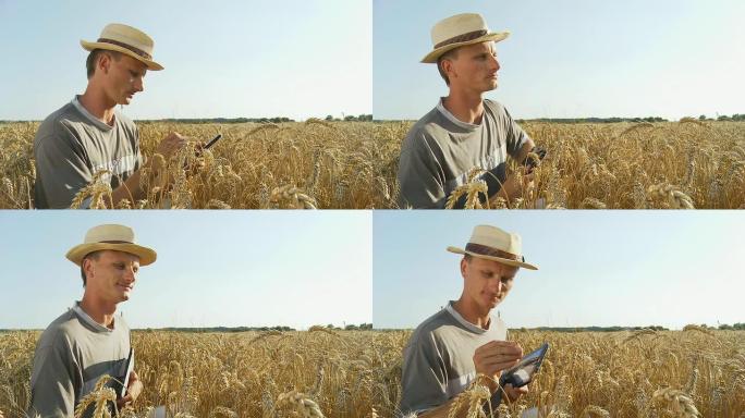 农民用数字平板检查小麦