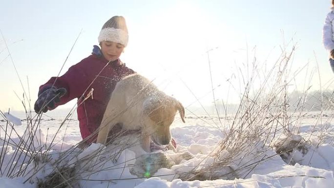 SLO MO女孩和小狗在雪地里玩得很开心