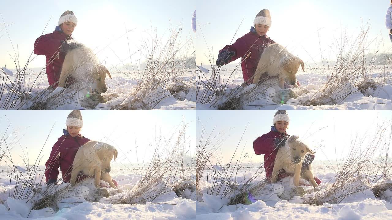 SLO MO女孩和小狗在雪地里玩得很开心