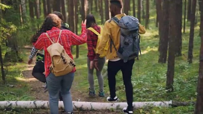 兴高采烈的年轻男女游客的后视图，他们背着背包，沿着野路在树林里徒步旅行，享受美丽的大自然，聊天。人和