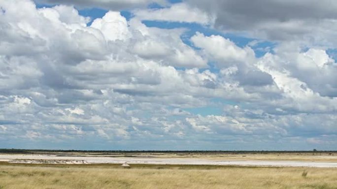美丽的非洲大草原大自然广袤大地蓝天白云