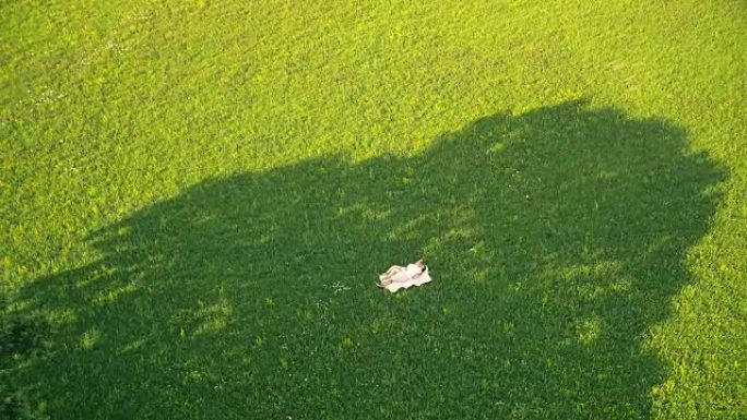 空中年轻夫妇在草地上放松