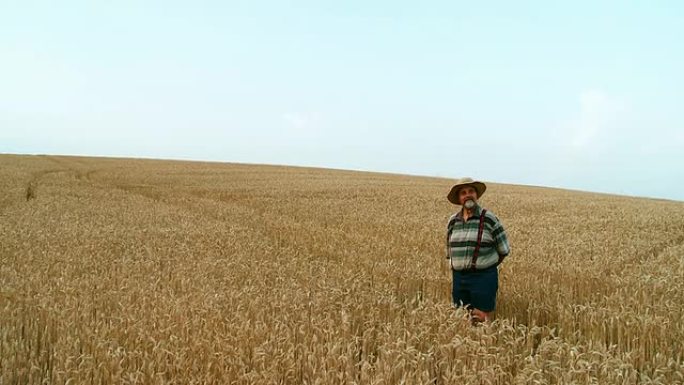 HD CRANE：小麦领域的资深农民