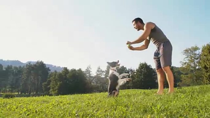 年轻人训练他的狗动物技巧