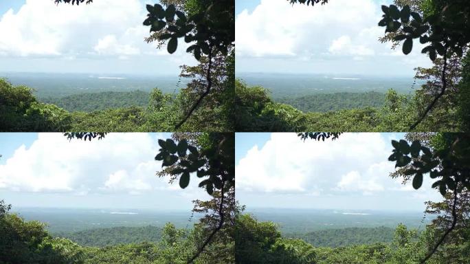 亚马逊森林的鸟瞰图。晴天的热带景观