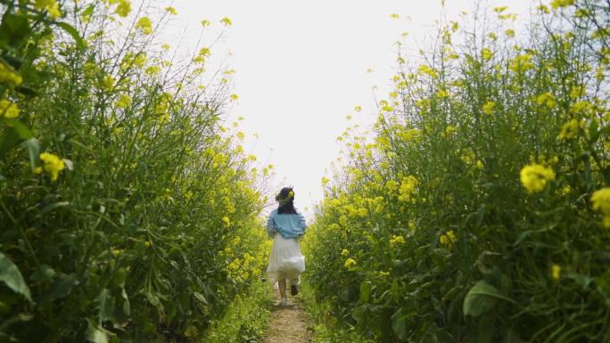 美女田间奔跑唯美清新女生油菜花地奔跑背影