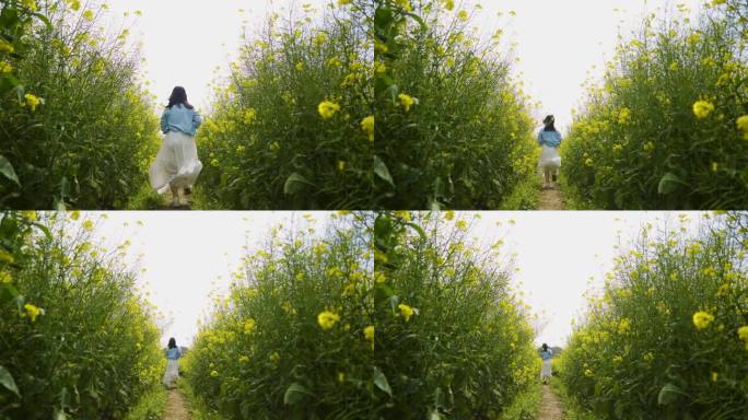 美女田间奔跑唯美清新女生油菜花地奔跑背影