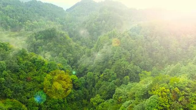 山林鸟瞰图森林俯瞰生态山脉绿水青山