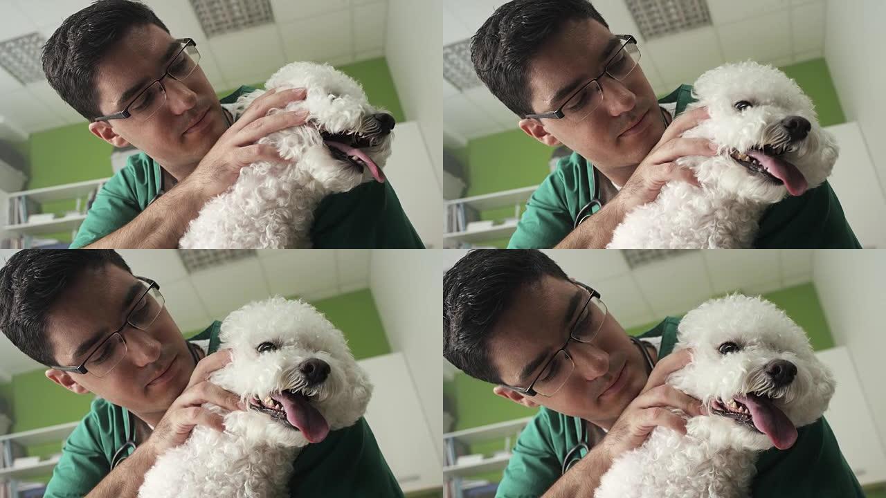 兽医检查一只小狗给狗狗看病