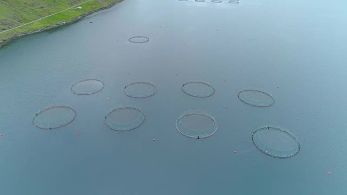 空中: 在法罗群岛附近的冷海中，在充满鲑鱼的圆形水池上方飞行