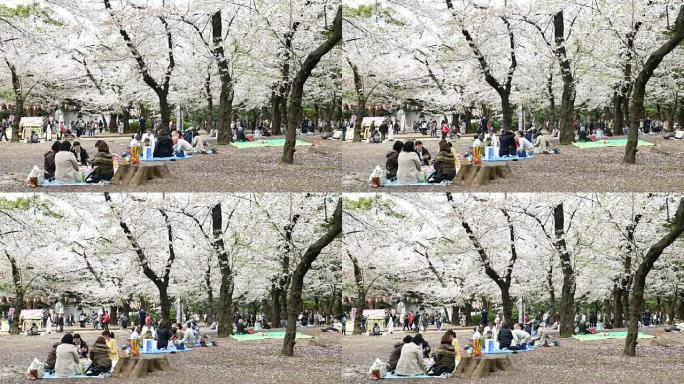 人们在东京庆祝樱花盛开