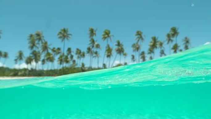 慢动作: 高大的棕榈树和白色沙滩俯瞰翡翠海洋