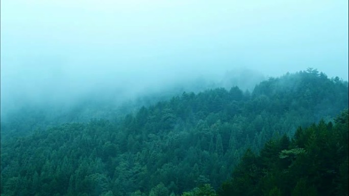 雾在山上流动高山峰瀑布山脉