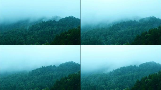 雾在山上流动高山峰瀑布山脉