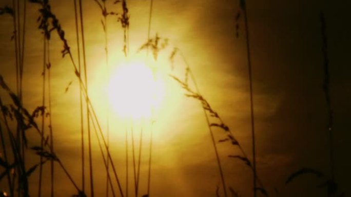 太阳 (HD 1080)