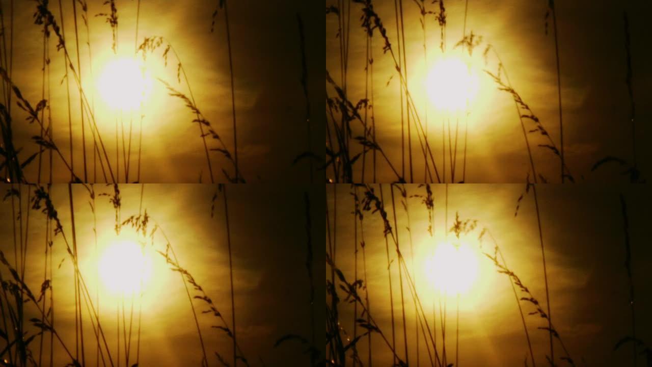 太阳 (HD 1080)