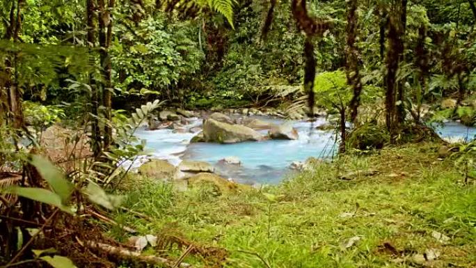 哥斯达黎加的DS绿松石河里奥·塞莱斯特