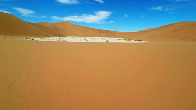 赫利死相思树在Deadvlei