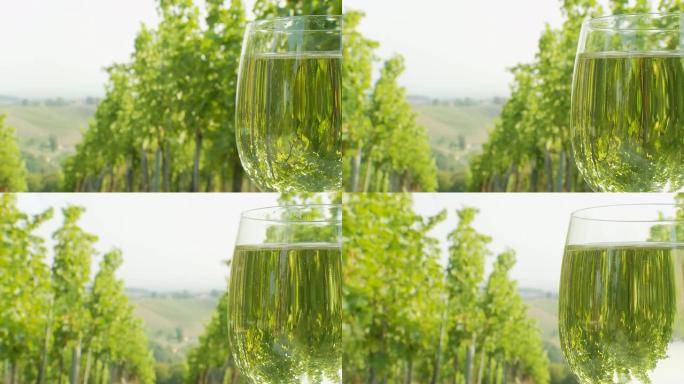 高清DOLLY：葡萄园在玻璃中的倒影