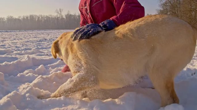 WS在雪地里与小狗玩耍