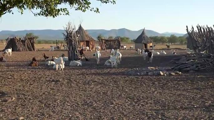 辛巴部落的非洲村庄