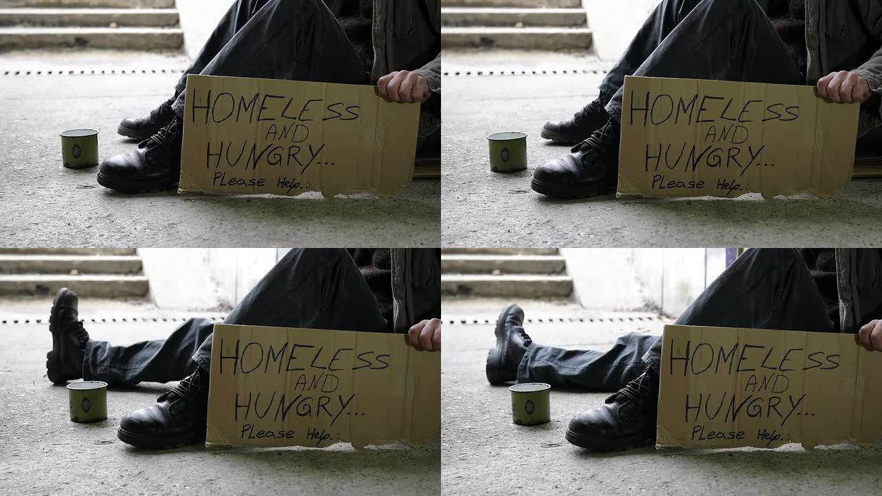 高清多莉: 无家可归和饥饿