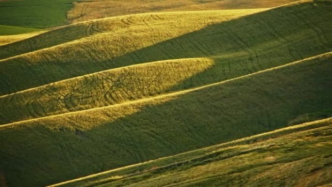 托斯卡纳的泛丘陵小麦田