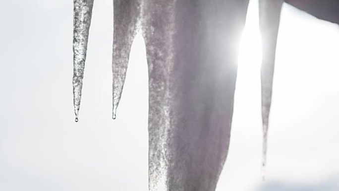 冰柱在春天被太阳慢慢融化