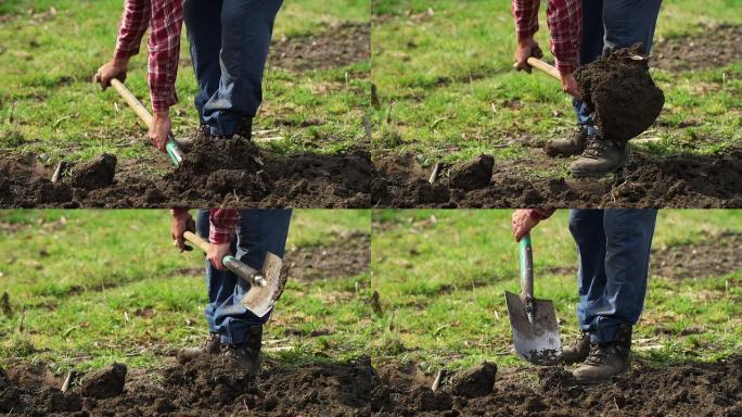 慢动作：在花园里用锹挖掘