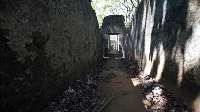 rainorest中部卡宴刑事殖民地的废墟。法属圭亚那