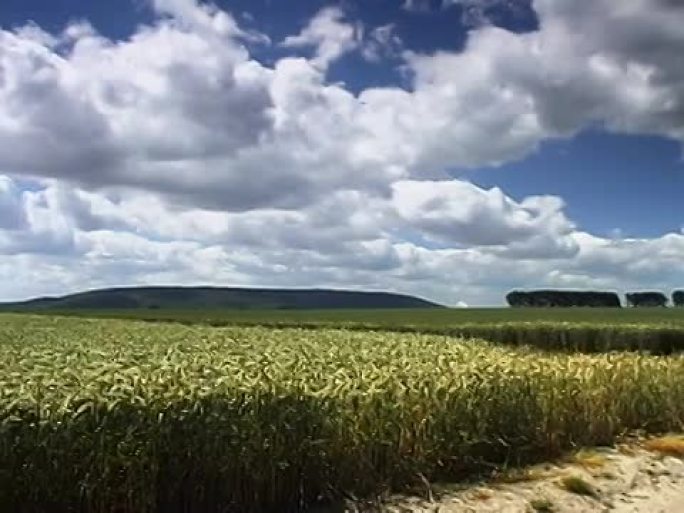 全景图：夏季景观